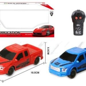 (GCC) 2-way simulation transfer printing remote control car